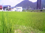 2008野球部合宿11