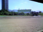 2008野球部合宿2
